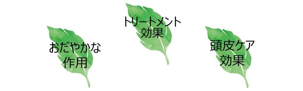 ヘナの特徴は、トリートメント効果・作用がおだやかなこと・頭皮ケア効果の3つ