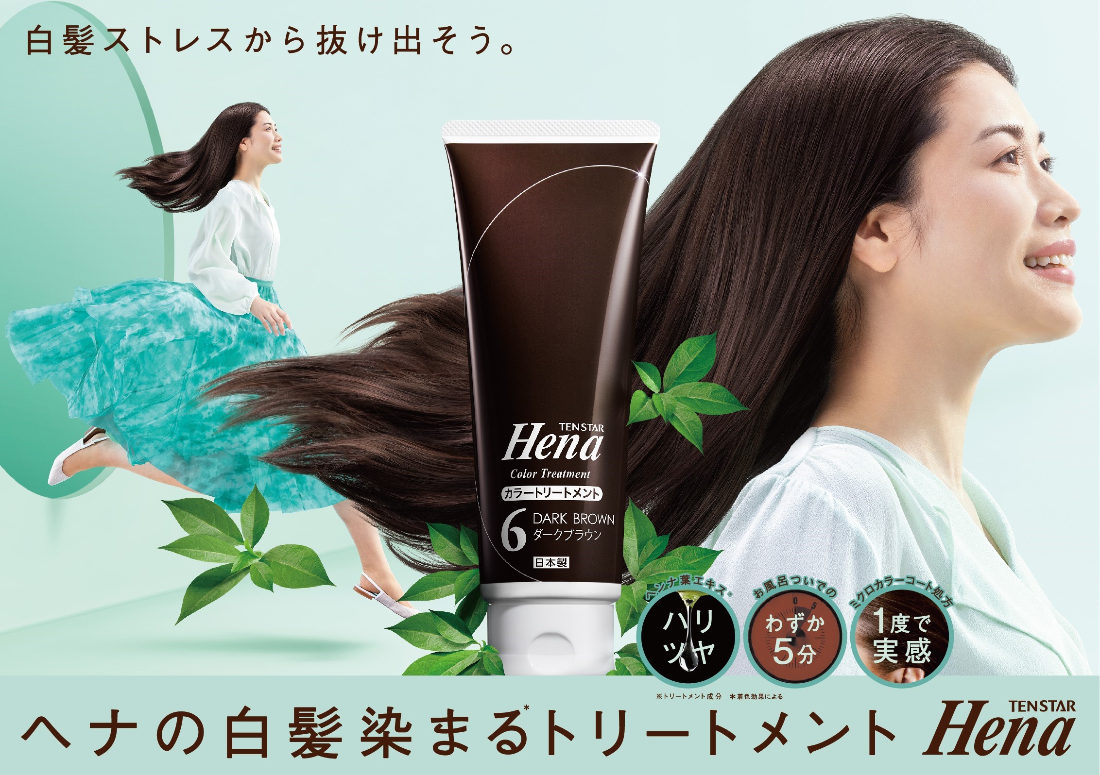 エムズハーブ　アブソルト彩　ヘアカラートリートメントダークブラウン 100g