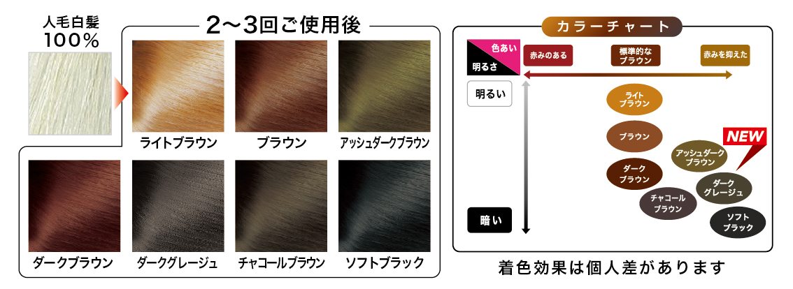 カラーチャート