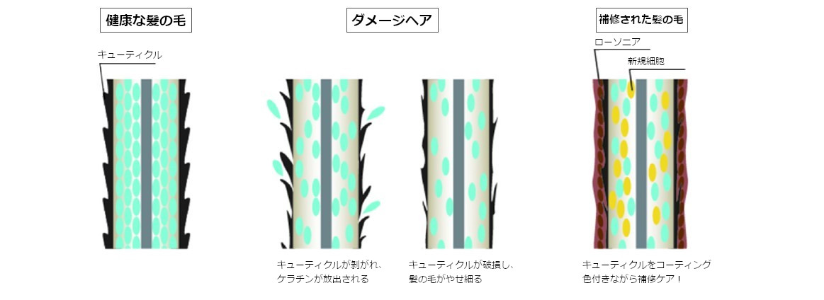 ダメージヘアが補修されるイメージ