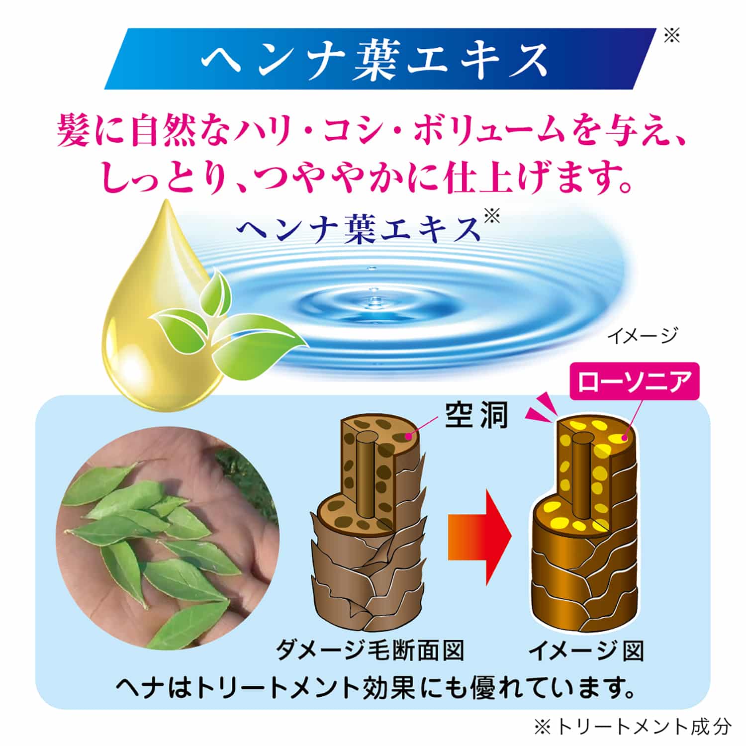 ローソニアが髪を補修するイメージ画像