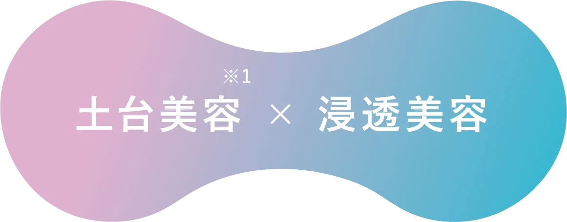 土台美容×浸透美容のイメージ