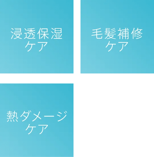浸透保湿ケア　毛髪補修ケア　熱ダメージケア
