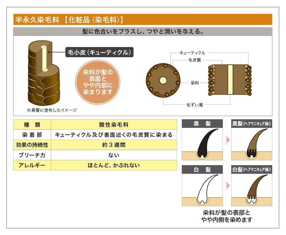染毛剤と染毛料の違いについて - 株式会社三宝